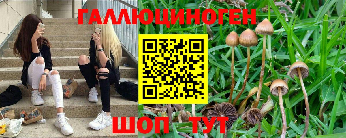 Каменск-Уральский  Псилоцибиновые грибы Psilocybe  Вход с VPN 